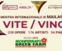 Mostra Internazionale di Mail Art “VITE/VINO” alla Monferrato Green Farm